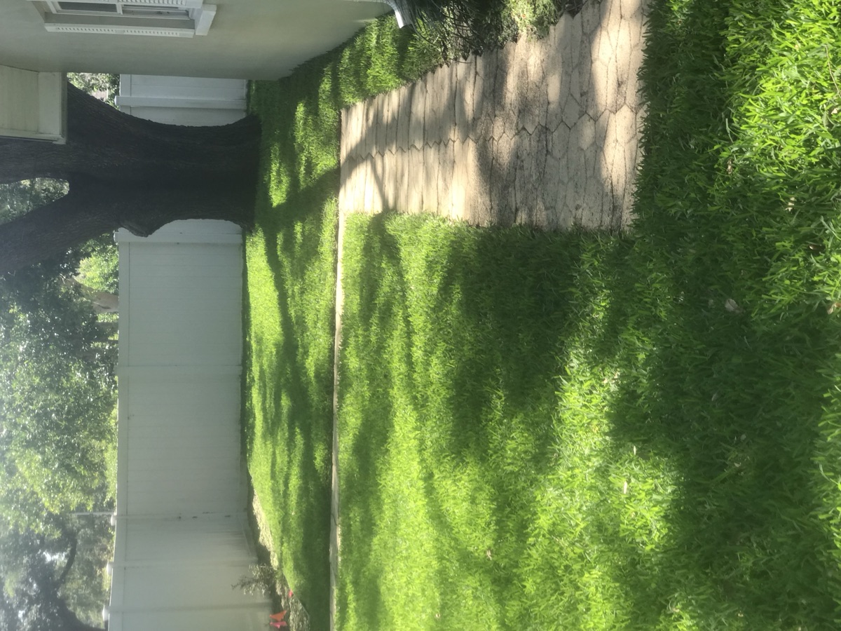 Fertilization & Maintenance